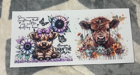 Highland Cow 3